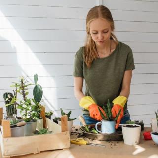 mobile banking -economiseti