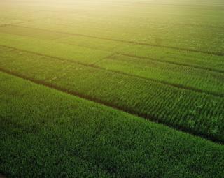 credit achizitie terenuri agricultura