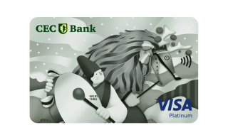 card credit visa platinum detaliii