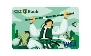 Card credit Visa Affinity