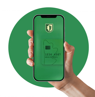 SmartPhone POS Visa Start Up IMM